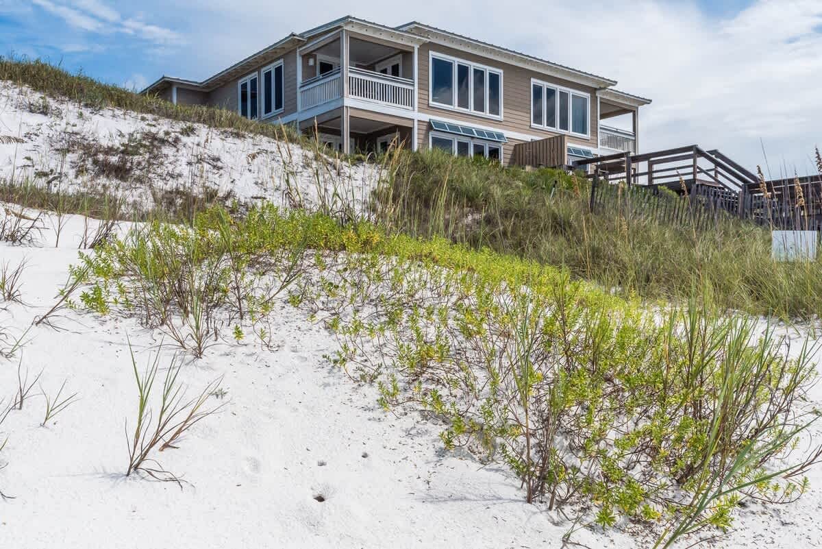 Pelican Paradise