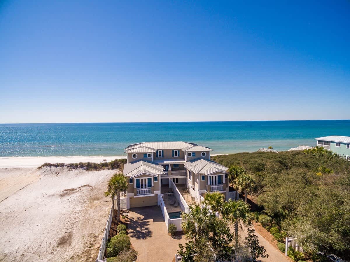 Pelican Paradise